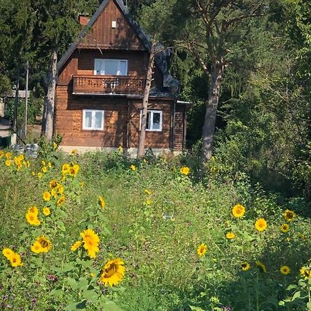 Vacationhome In The Vineyards Wenen Buitenkant foto