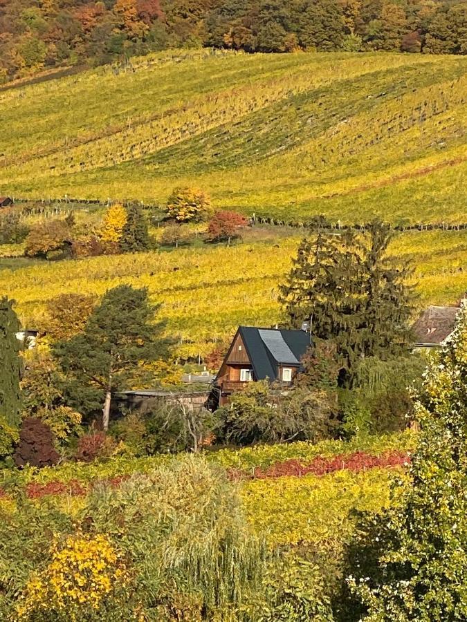 Vacationhome In The Vineyards Wenen Buitenkant foto