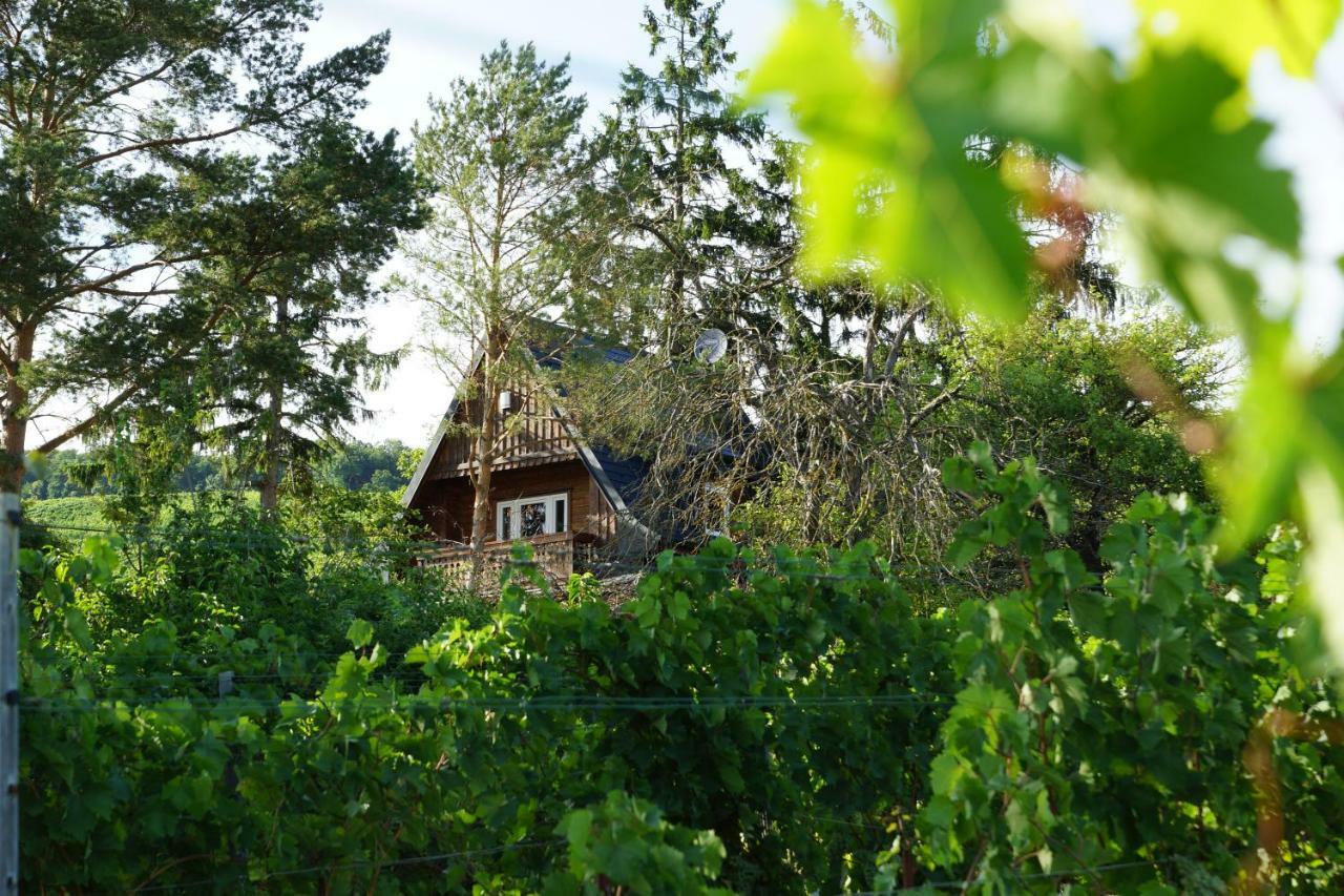 Vacationhome In The Vineyards Wenen Buitenkant foto