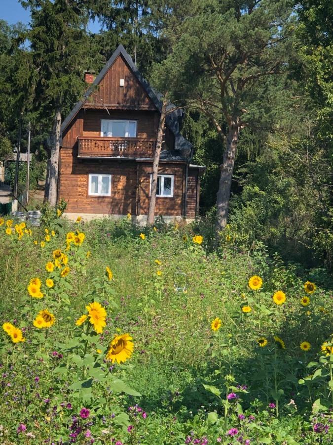 Vacationhome In The Vineyards Wenen Buitenkant foto