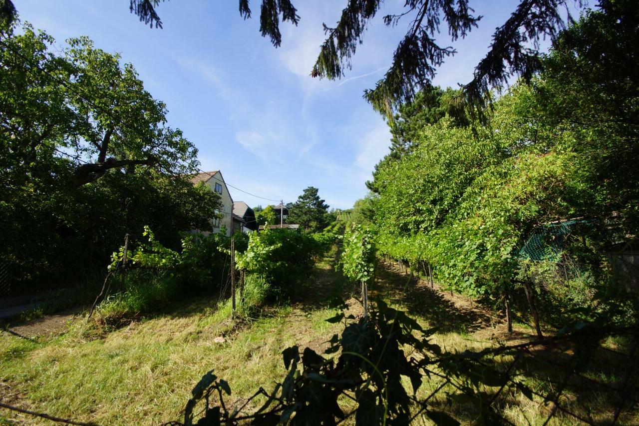 Vacationhome In The Vineyards Wenen Buitenkant foto